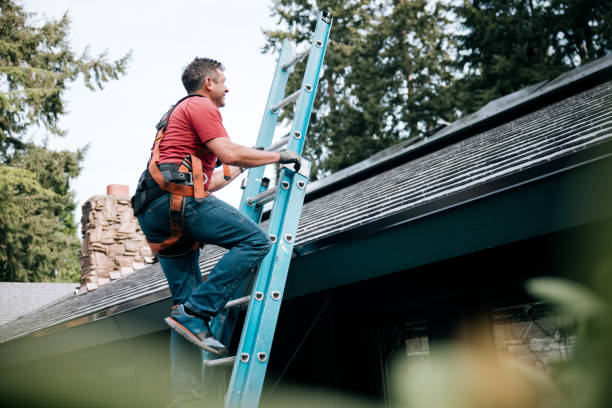 Best Sheet Metal Roofing  in Northumberland, PA